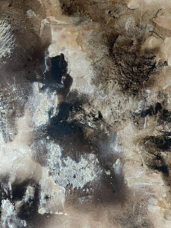 Andes