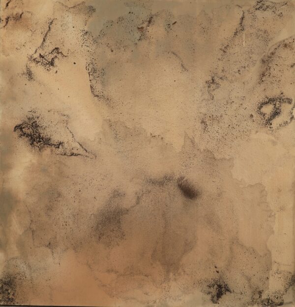 Mojave